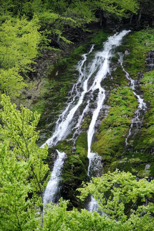 Gorska Hiska Vogar Nad Bohinjskim Jezerom Kültér fotó